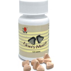 قرص فطرعرف الأسد لتحسين صحة الجسم   قرص فطرعرف الأسد لتحسين صحة الجسم